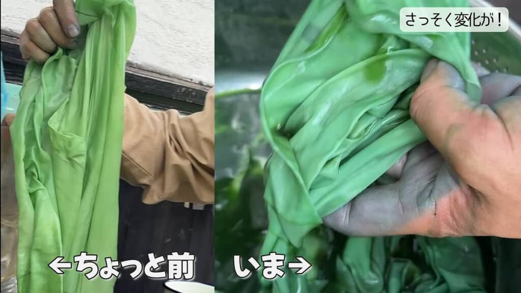 緑色のシルク生地と青緑色になったシルク生地
