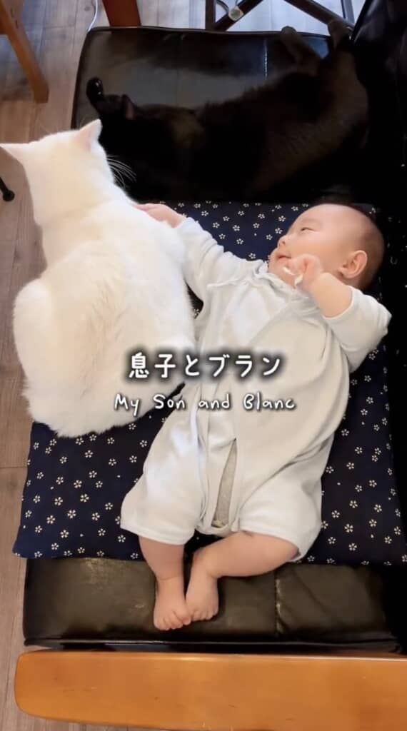 赤ちゃんだった息子くんとブランくん