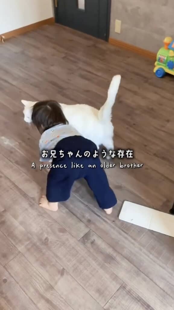 いつもくっついて歩きます