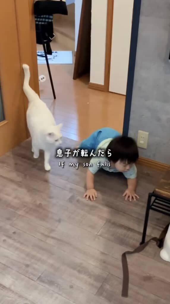 息子くんが転ぶと心配して駆けつける