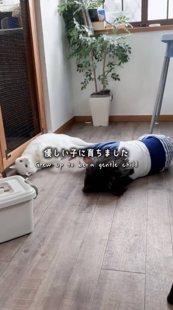 目線を合わせてごろ〜ん
