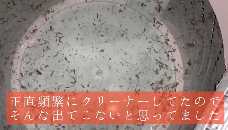 買って9年の洗濯機を過酸化ナトリウムで大掃除