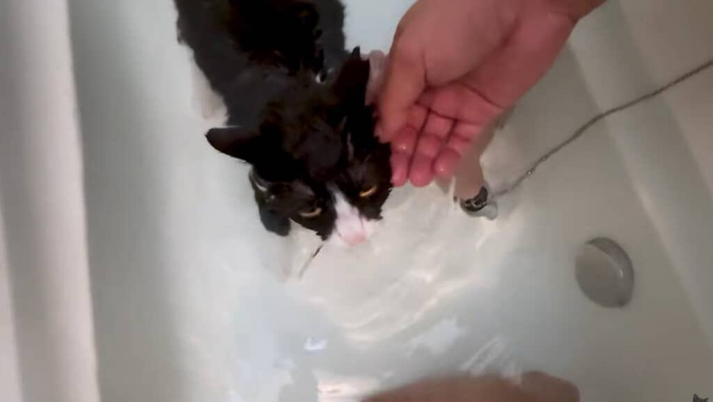 タケさんと混浴を満喫
