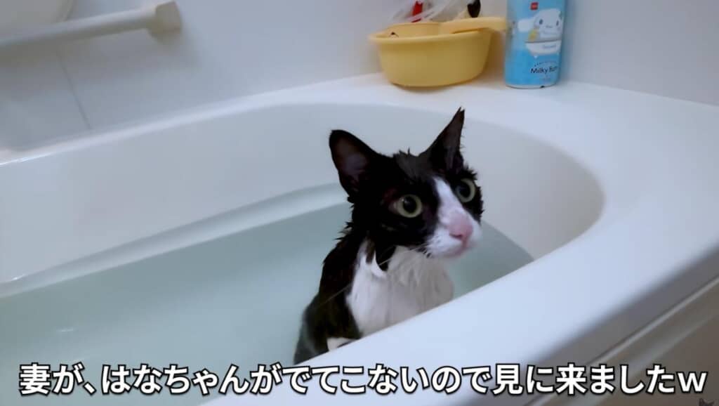 もう15分くらい入っています