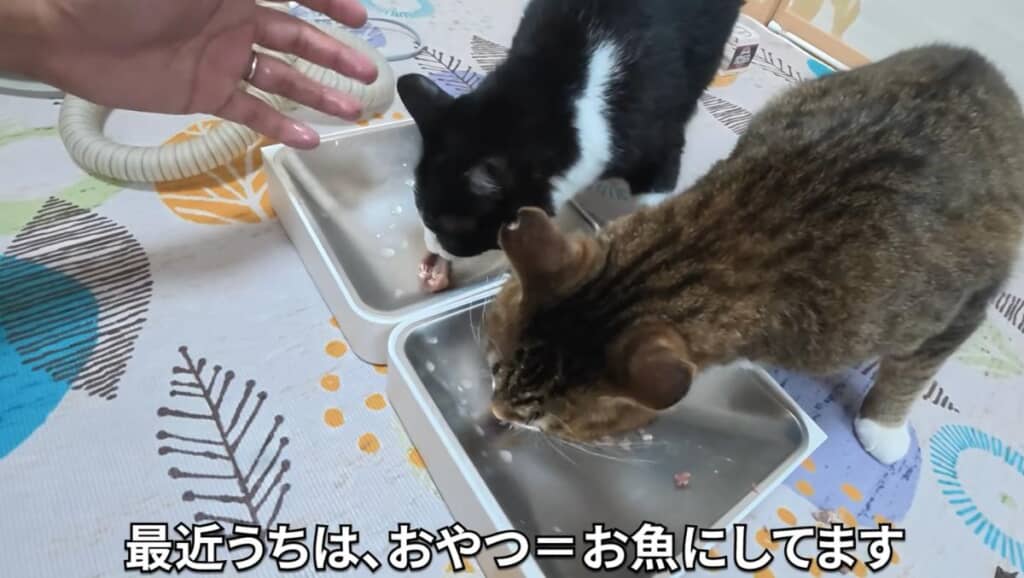 最後はみんなでおやつ