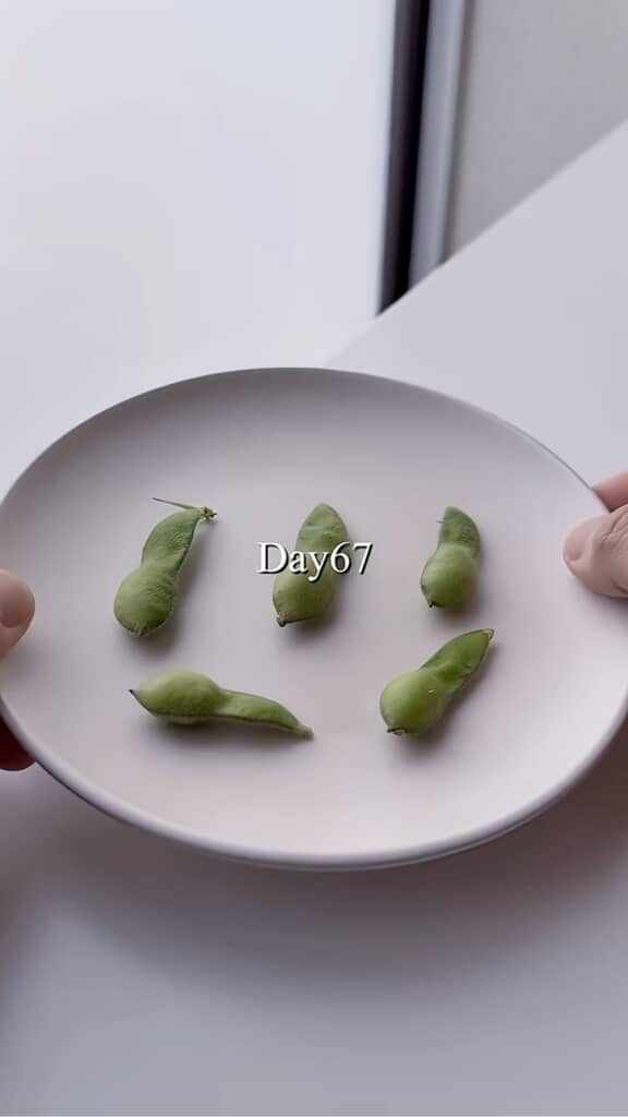 期待通りにはいかなかったのでリベンジするそうです