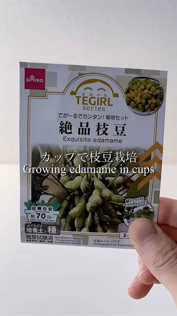 ダイソーで買った枝豆の種をプラカップで育てます