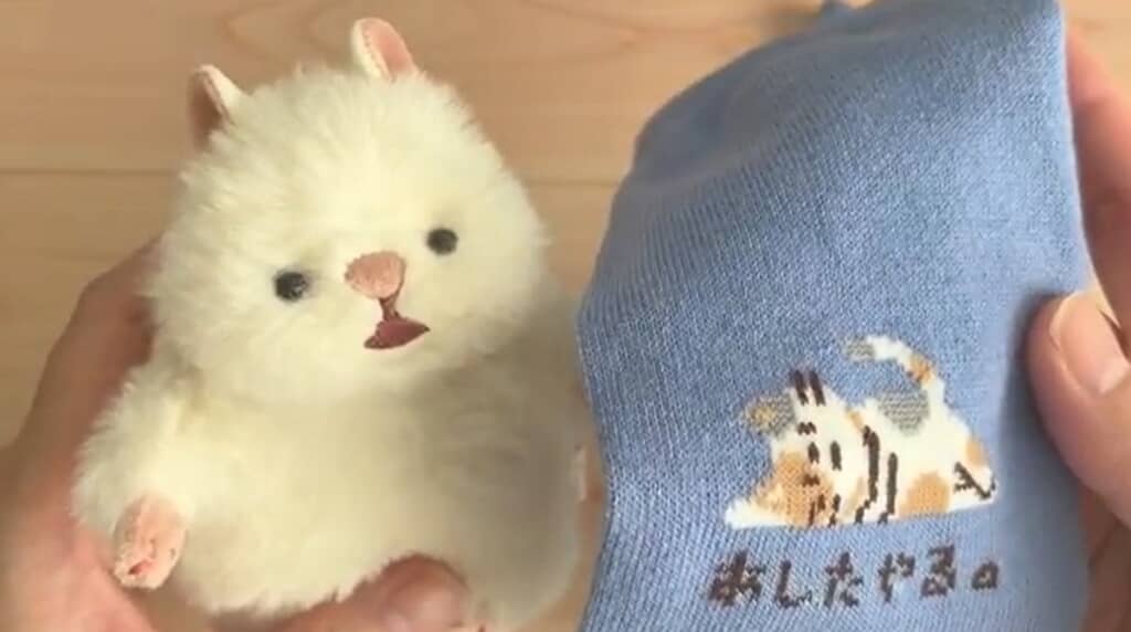 100均の靴下を使います