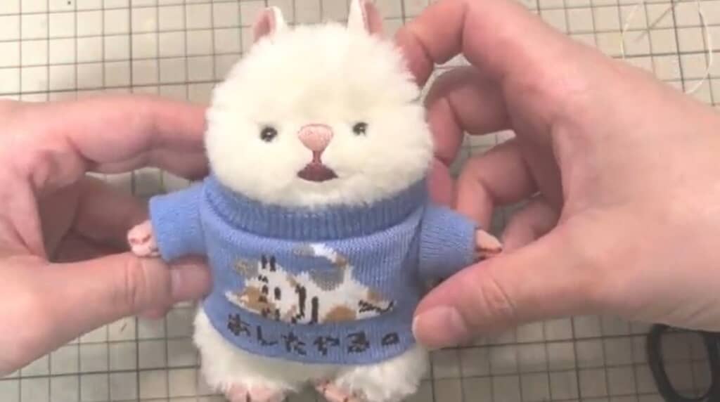 よく似合っています