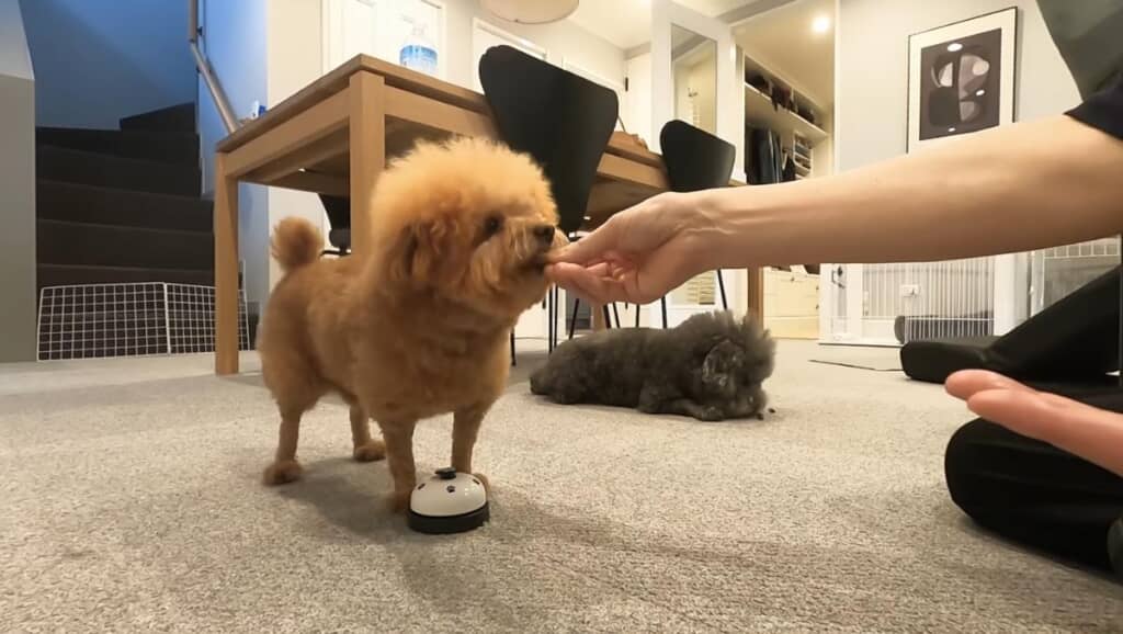 おやつ時間を満喫中