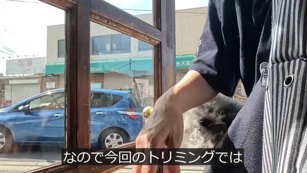 恒例のトリミングへ！