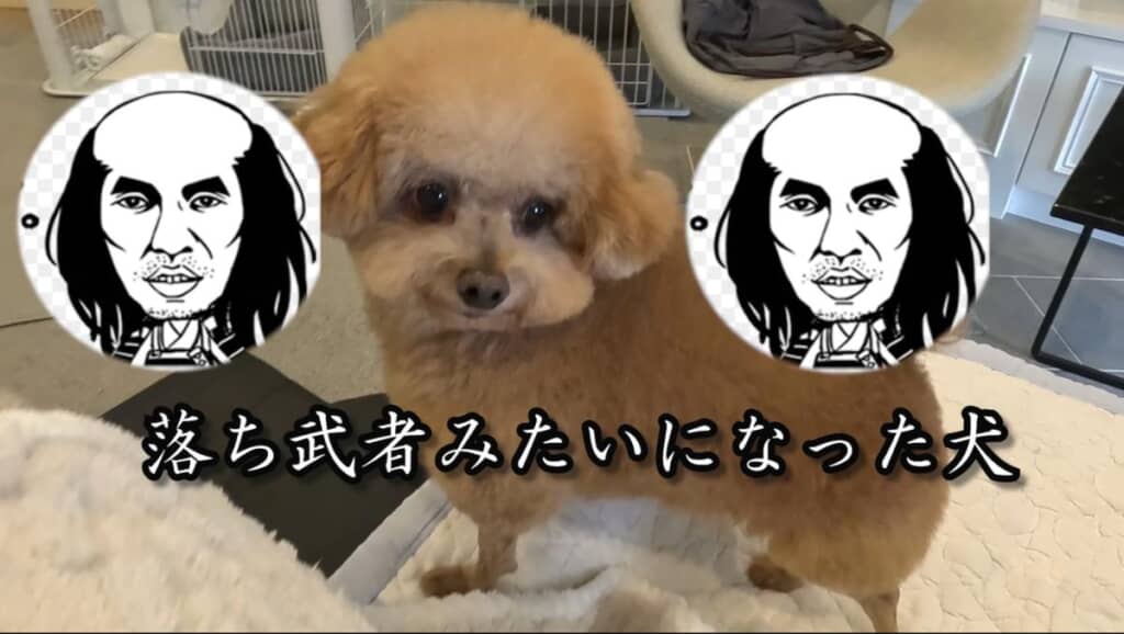 アフター