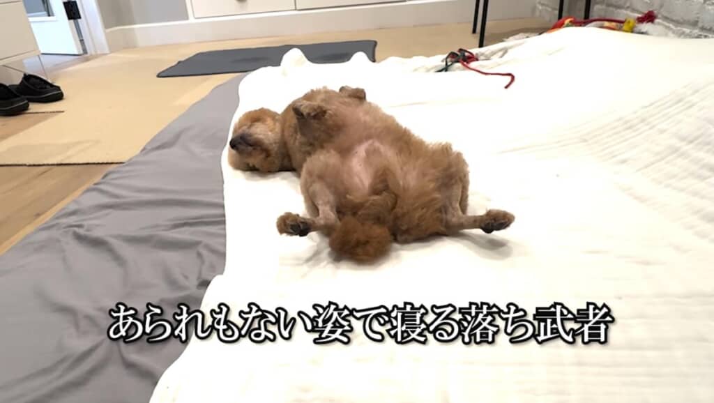 あられもない姿で寝る落ち武者