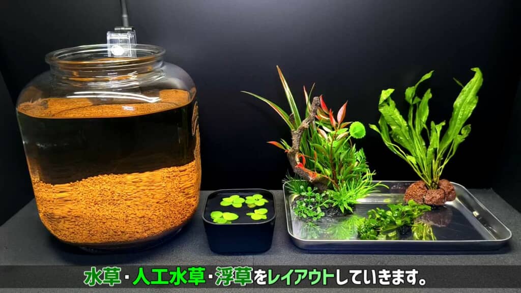 天然土と水を入れたジャーと水草