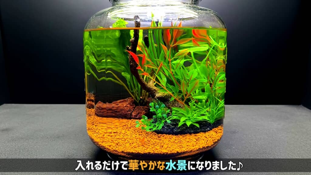 人工水草を追加した水草