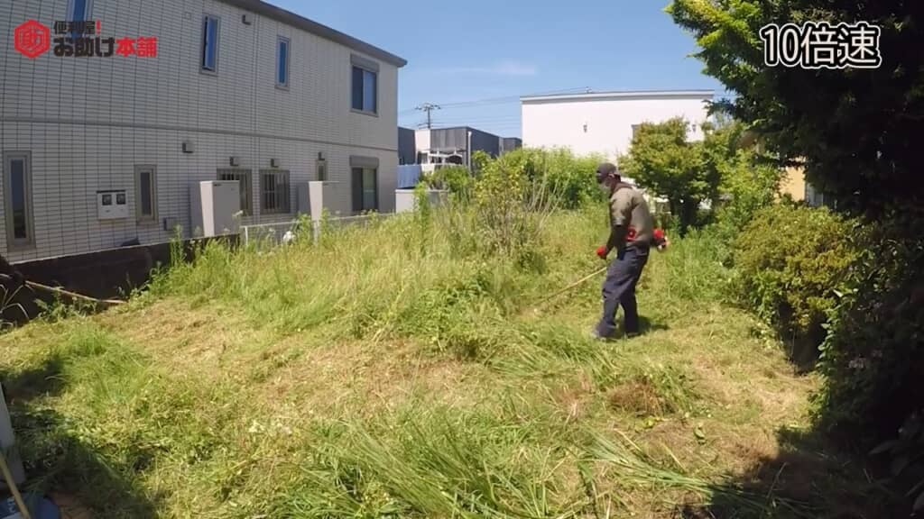 地面が少しずつ顔を出す様子が気持ち良い