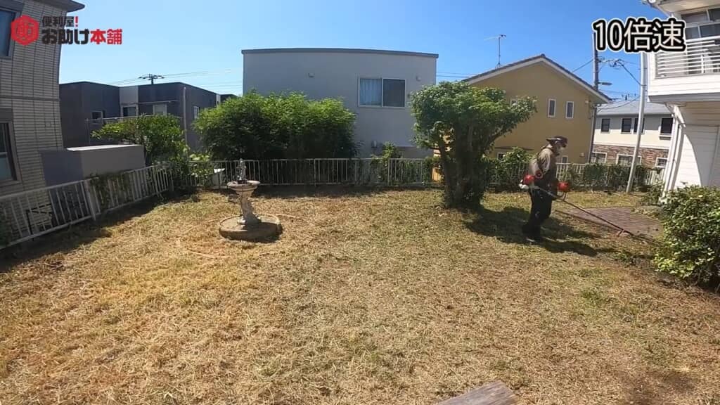 雑草に埋もれていた噴水も登場