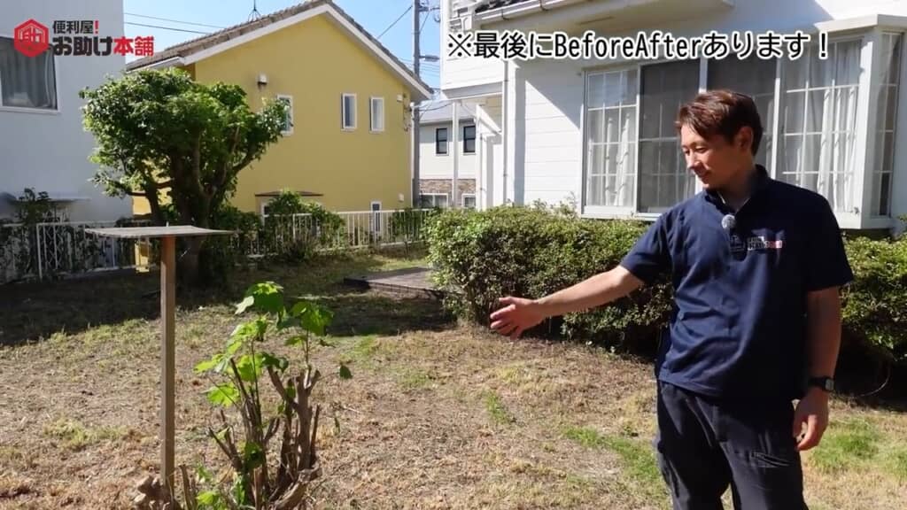 生け垣や庭木もきれいに