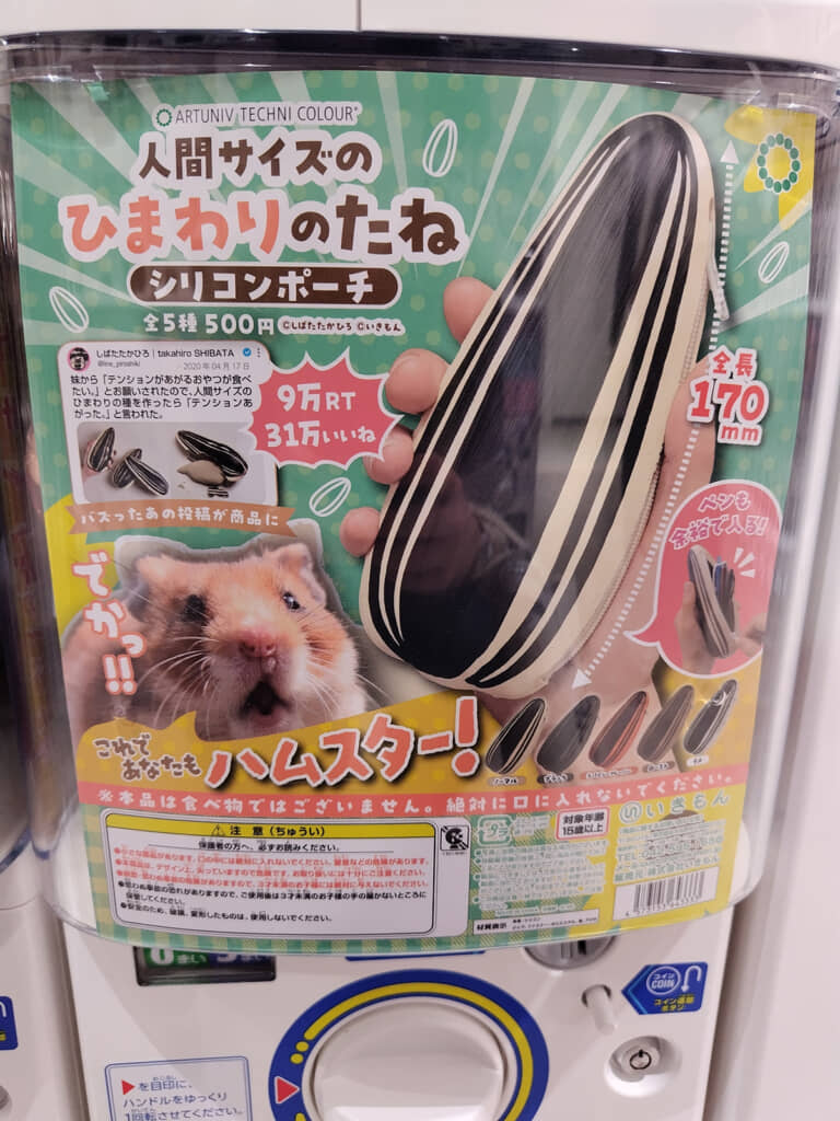 人間サイズのひまわりのたね