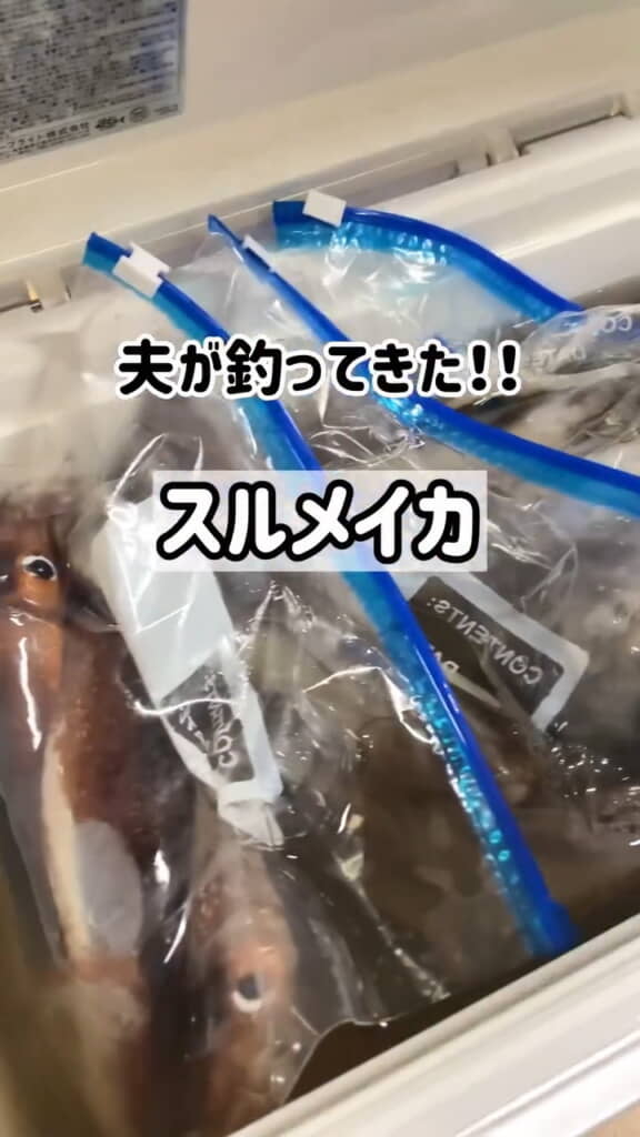 夫が釣ってきたスルメイカ