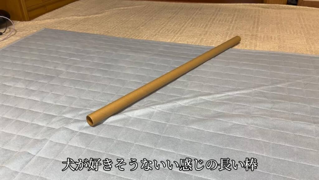ワンコが好きそうないい感じの長い棒