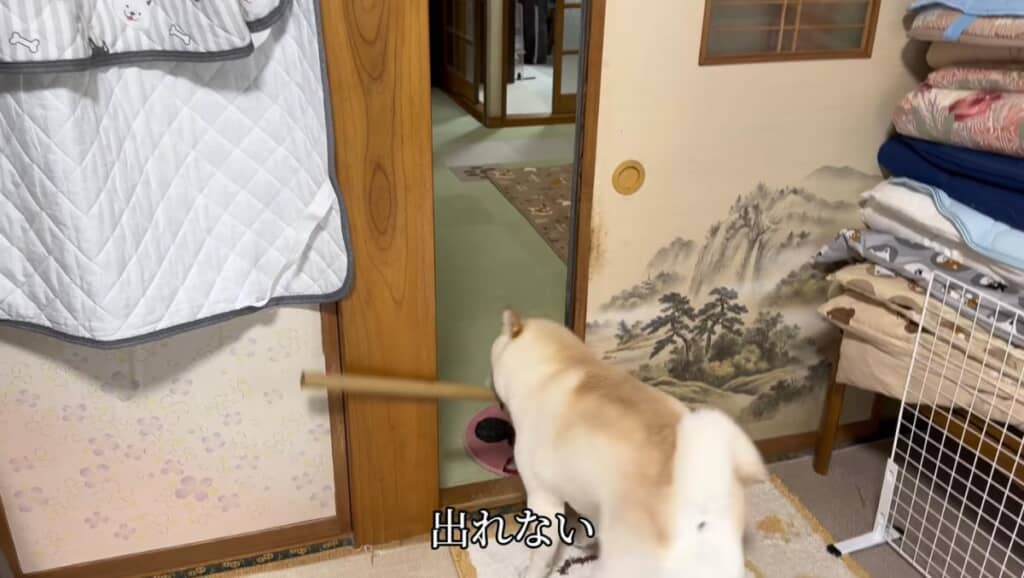 部屋から出られないだと!?