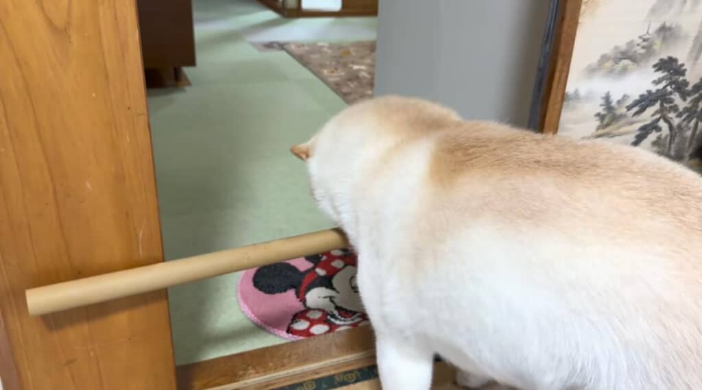 出口が広がっても出られない
