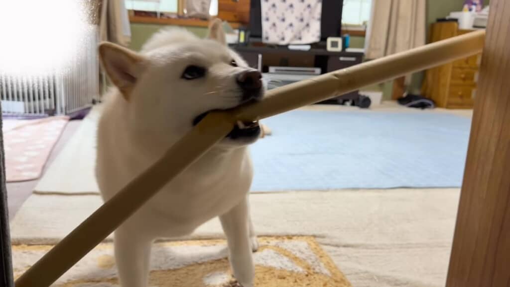 部屋からの脱出に再挑戦