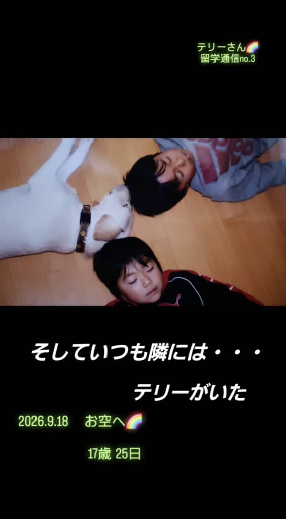 ほほえましい1枚