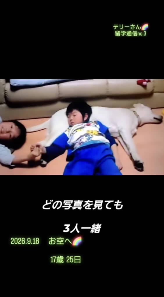 仲良しぶりがうかがえます