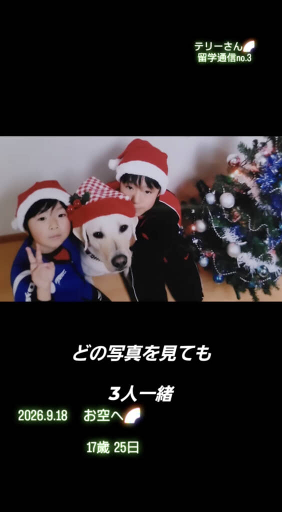 クリスマスももちろん一緒