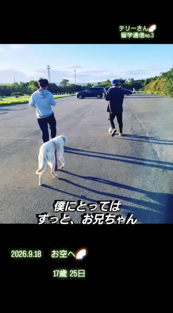 大人になっても仲良しです