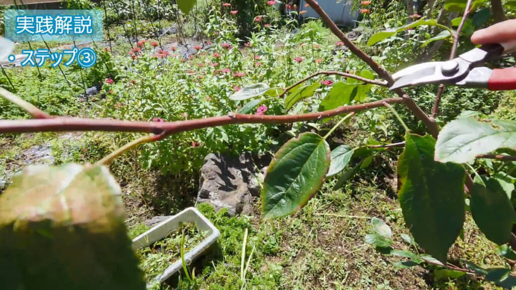 最終調整