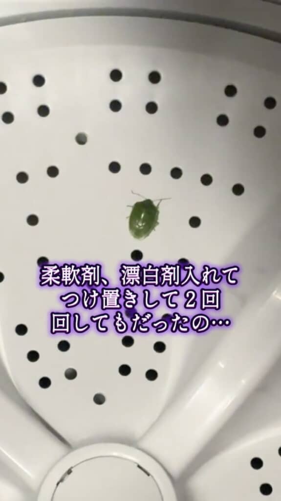 どうりで臭かったわけだ……