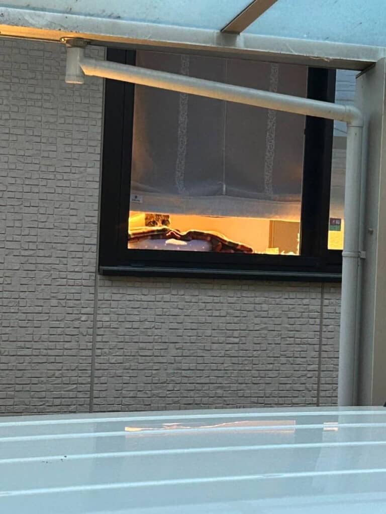 視線を感じると思ったら!?