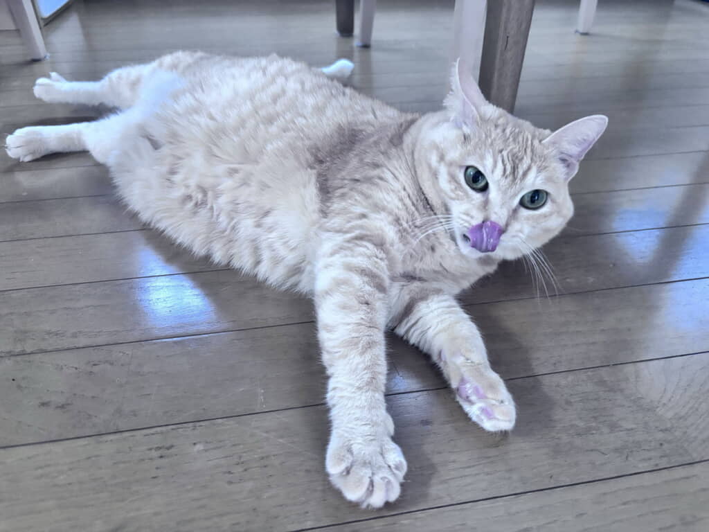 床でまったり
