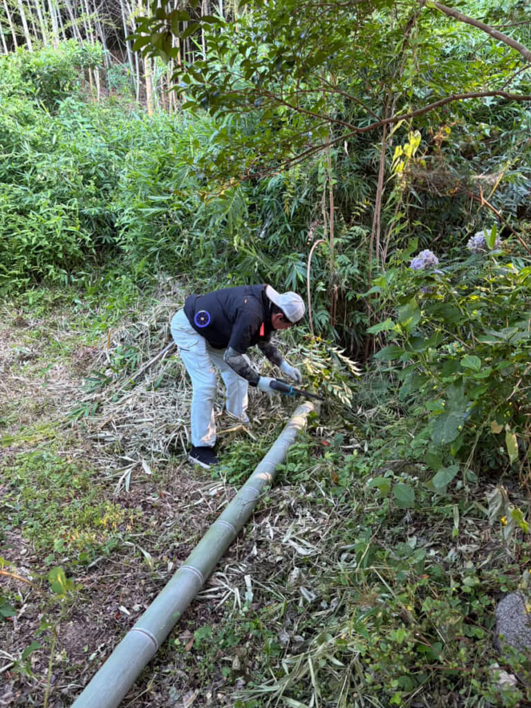 自分の敷地から竹を切り出し……