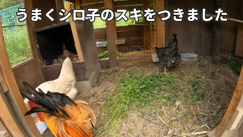 侵入成功で、ゆっくりごはんが食べられる