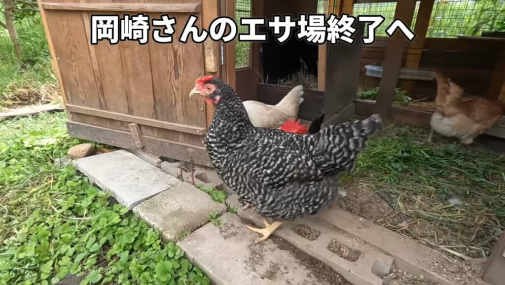すぐに追い出されてしまいました