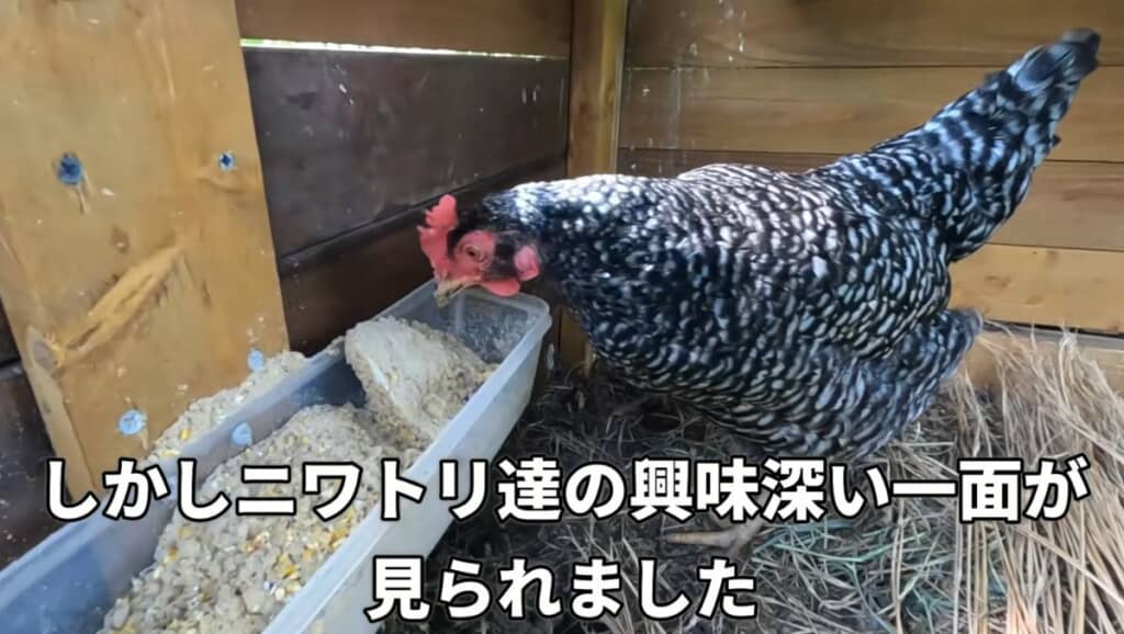 個室でゆっくり食べようね