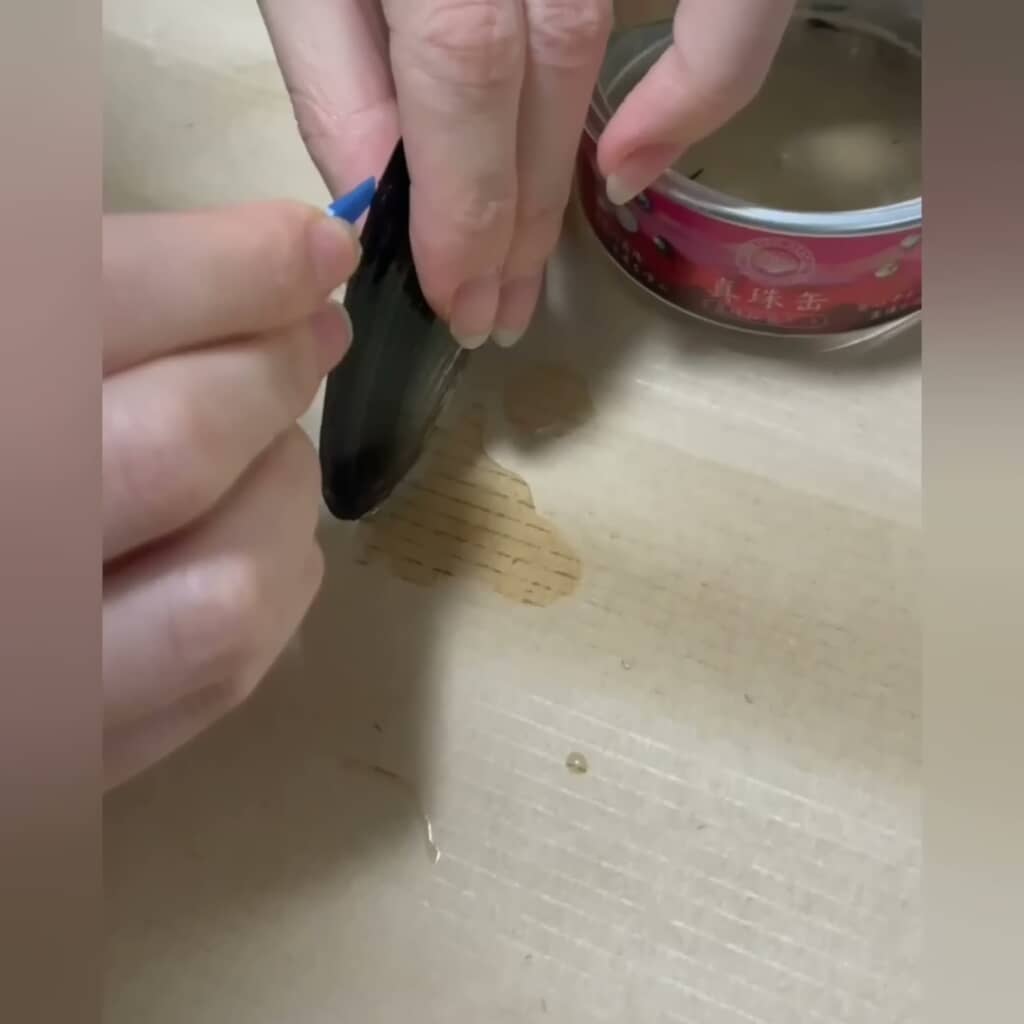 二枚貝の口を開けようとする様子