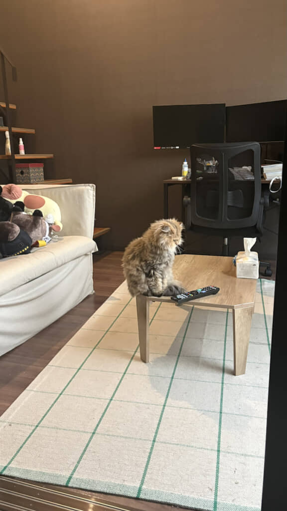 テーブルの端にちょこん