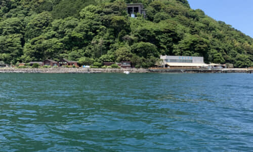 宮原れい