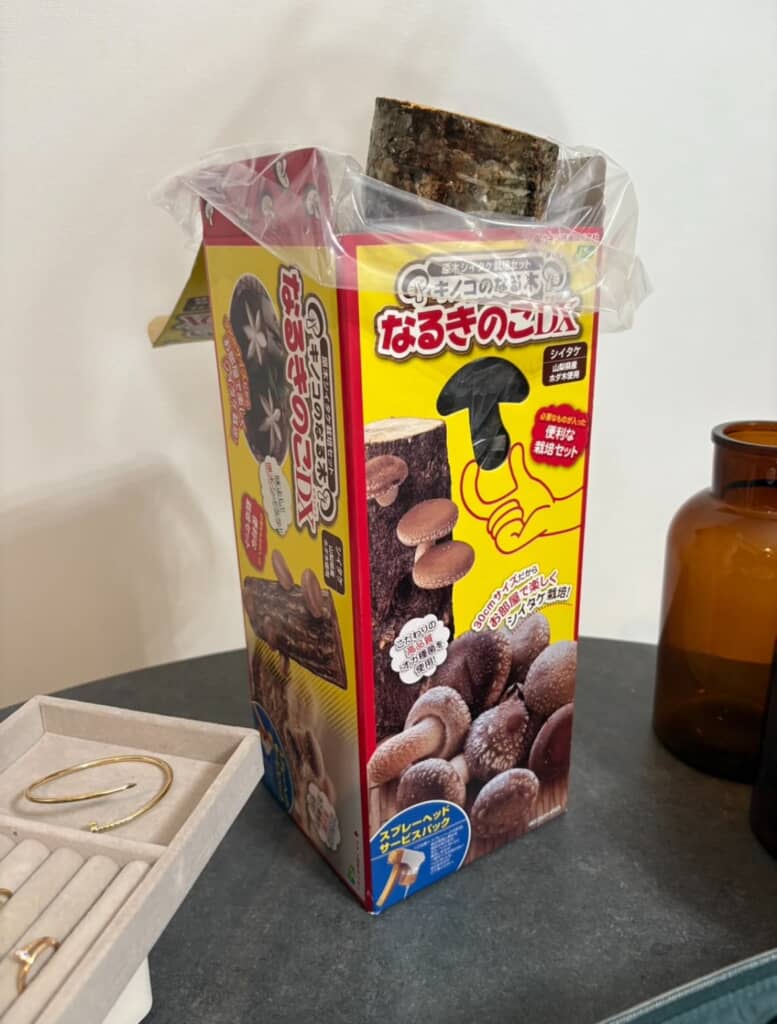 しいたけ栽培キット「キノコのなる木 なるきのこDX」のパッケージと原木