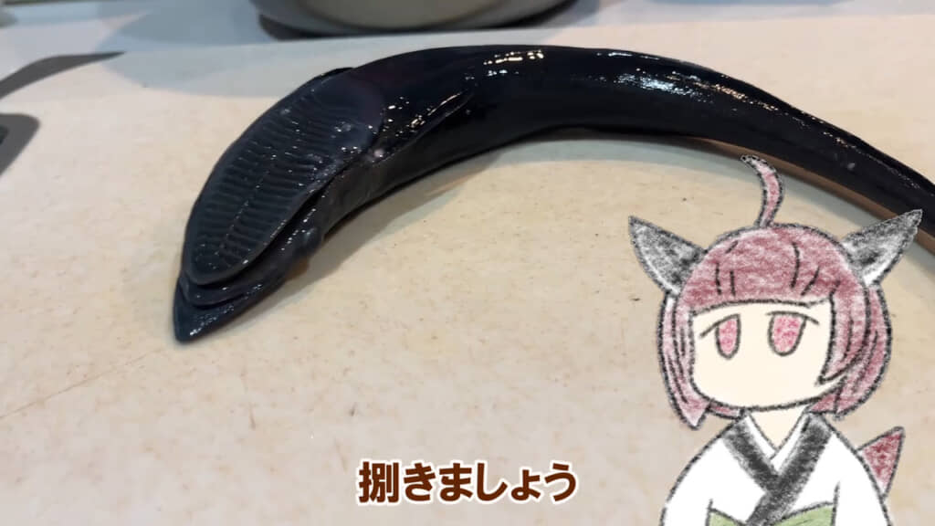 まな板の上に置かれた黒く細長いコバンザメと、頭部にある吸盤状の器官。「捌きましょう」の字幕