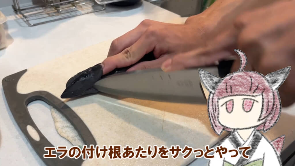 コバンザメのエラの付け根に包丁を入れてさばく様子。「エラの付け根あたりをサクっとやって」の字幕