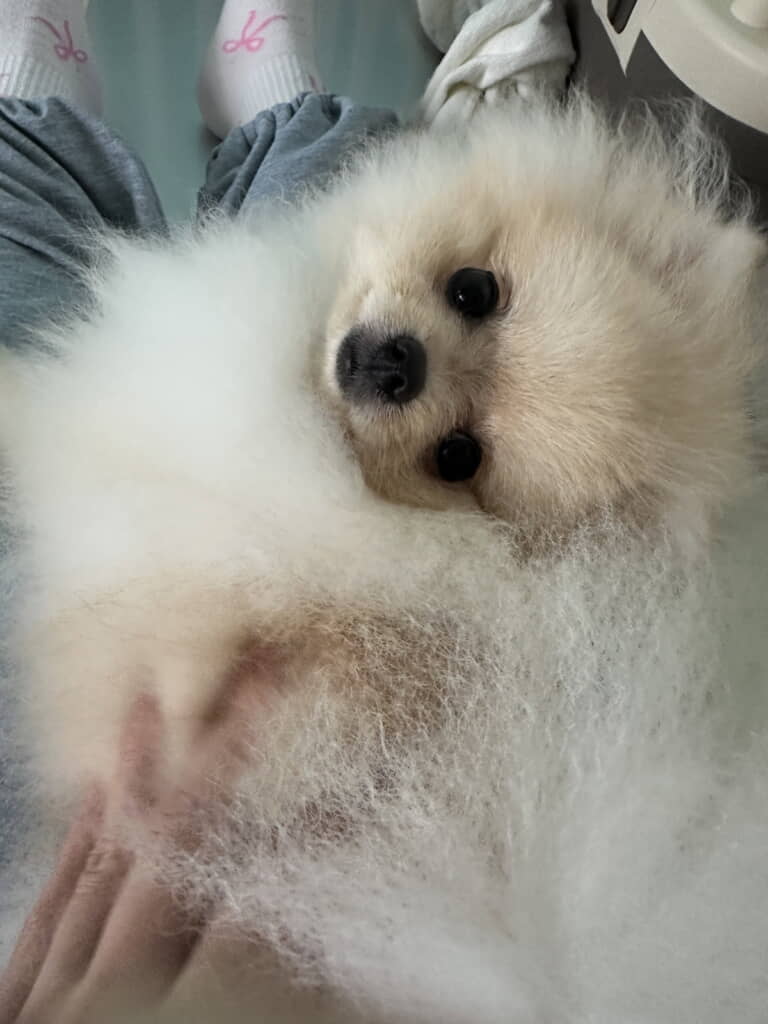 ふわっふわ！
