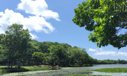 神奈川はな